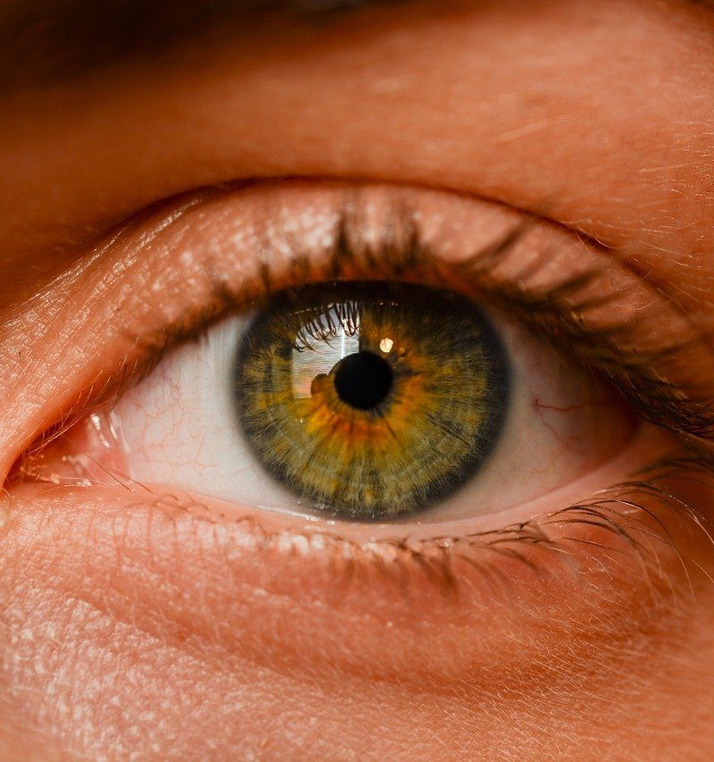 Oczy to nietypowy organ. To naturalnie dzięki nim rozróżniamy.